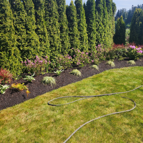 ffb51e326d4d4890a88de8405826d448